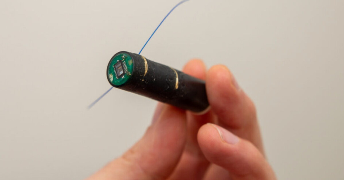 Electronic implant lets select farmed salmon serve as “sentinel fish” Electronic implant lets select farmed salmon serve as “sentinel fish”