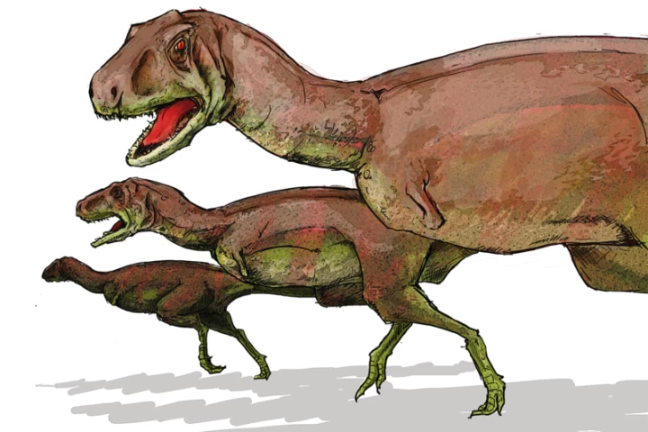 A new study suggests that some dinosaurs may have used closed-mouth vocalizations in which sounds are projected through the thin skin of their necks