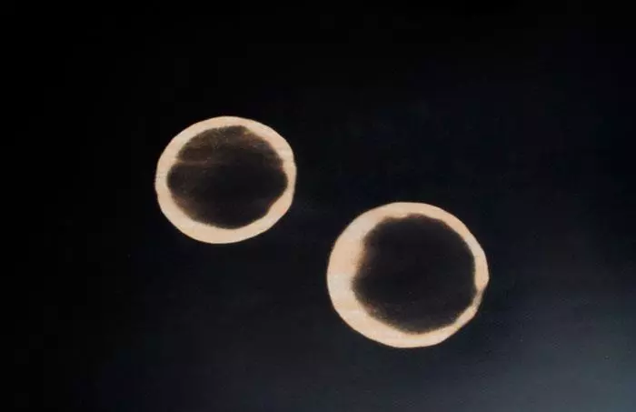 Coffee mug rings, left on the thermochromic table