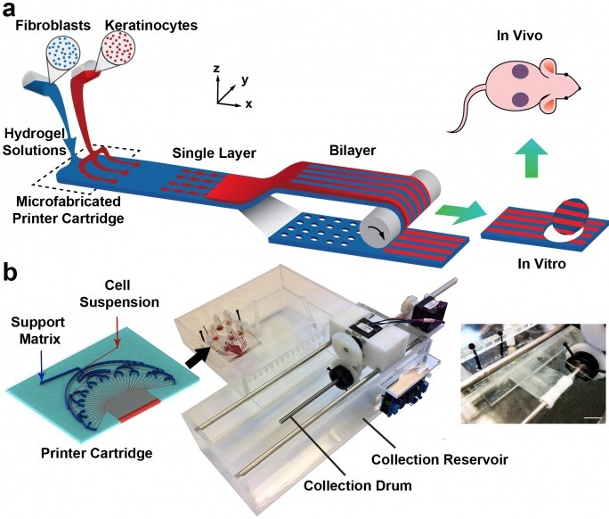 The PrintAlive skin graft application and bioprinting system