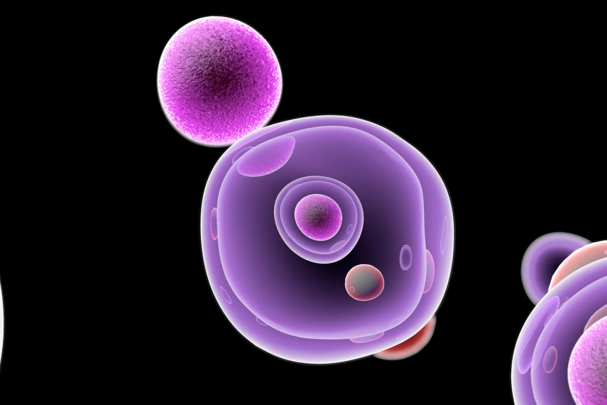 Stem cell technology could help rewind aging on human cells