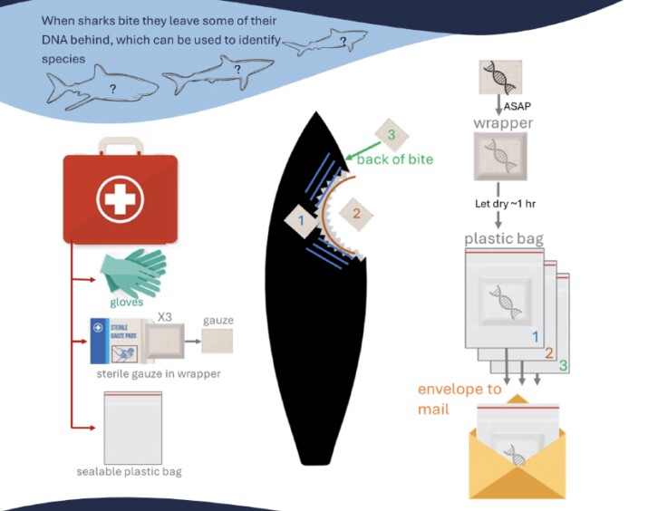 A handy set of instructions for using first aid kit gauze to collect transfer DNA
