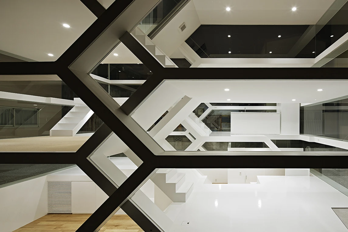 Presumably the home would be soon covered in moths at night (Photo: Koichi Torimura)