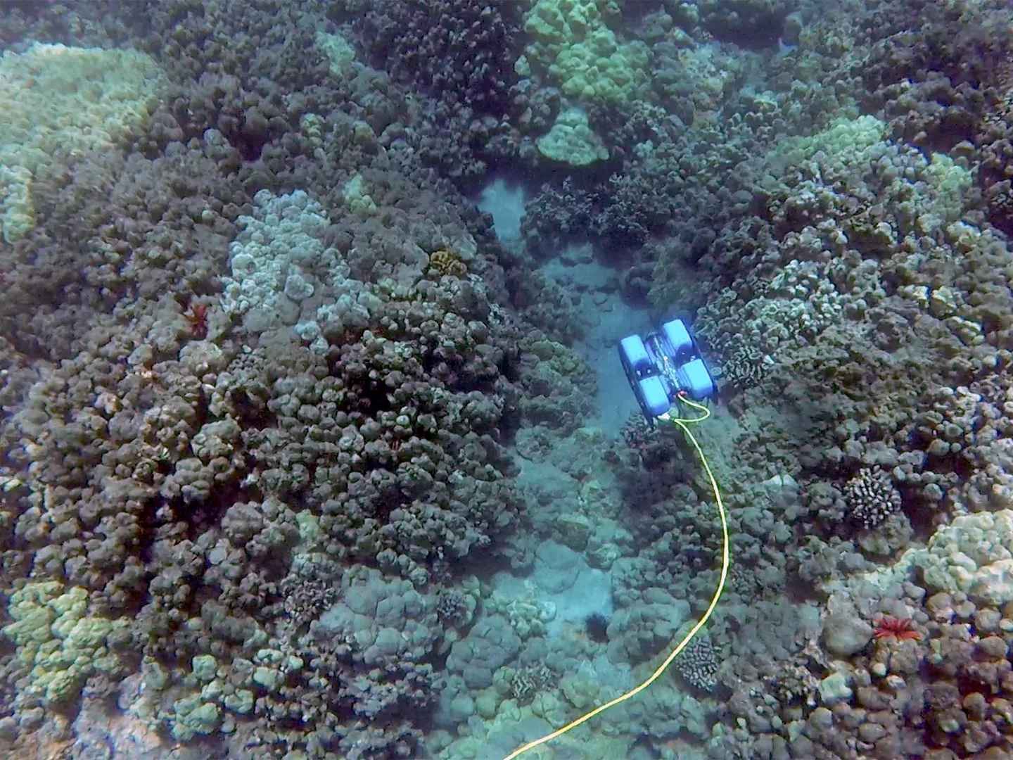 The BlueROV2 can descend to a depth of 100 m (328 ft)