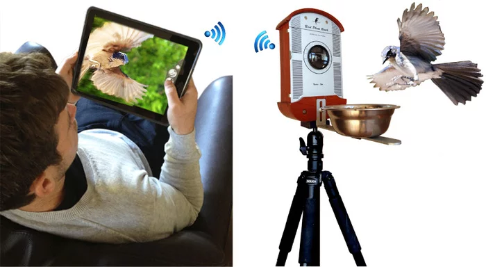 Bird Photo Booth is set into a handcrafted FSC oak and CNC metal feeder to produce a live stream on another device via Wi-Fi or Bluetooth