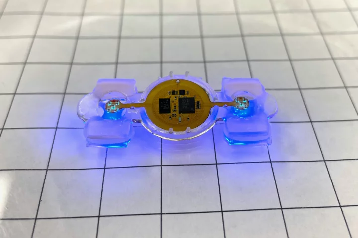 The eBiobots currently have a top speed of about 0.8 mm per second