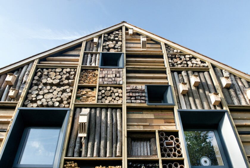 Mellor Primary School: The design incorporates a "habitat wall" on its east-facing facade which houses planters, nesting boxes, and bug habitats