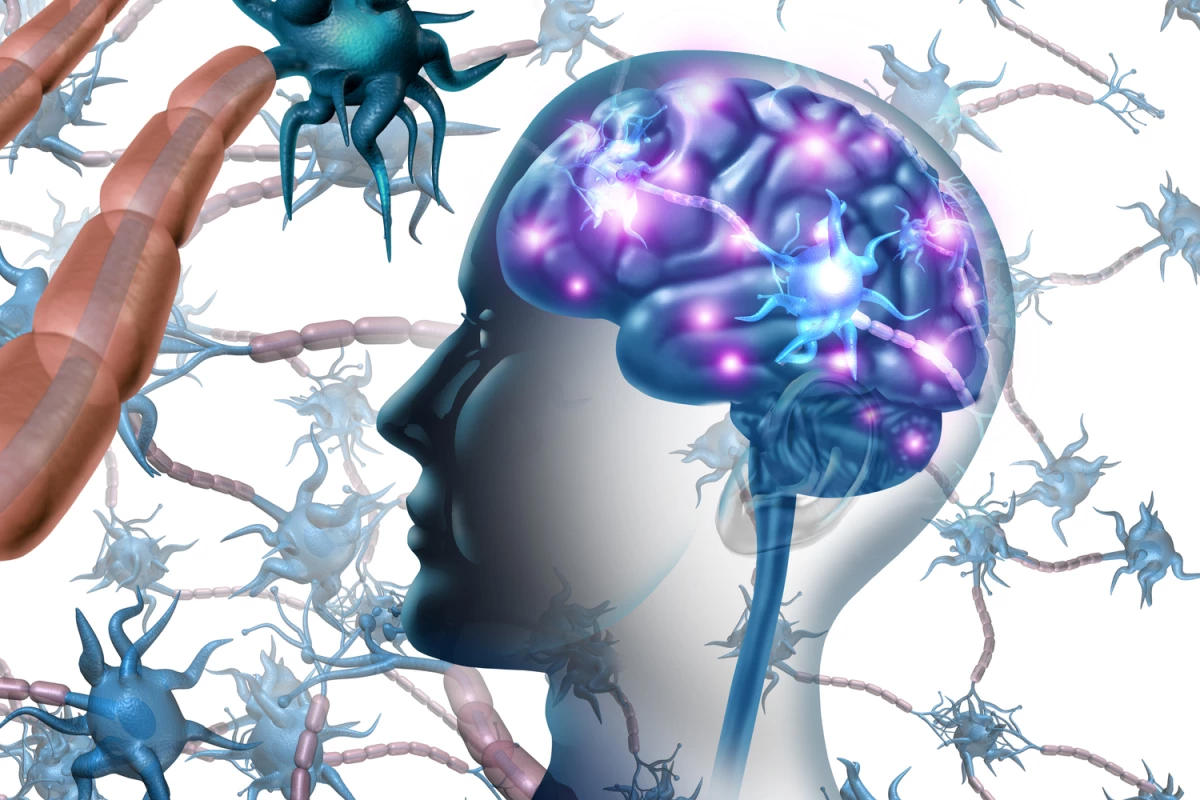 Researchers have not had an accurate or easy way to detect amyloid oligomers, the protein accumulations smaller than the commonly known plaques – until now