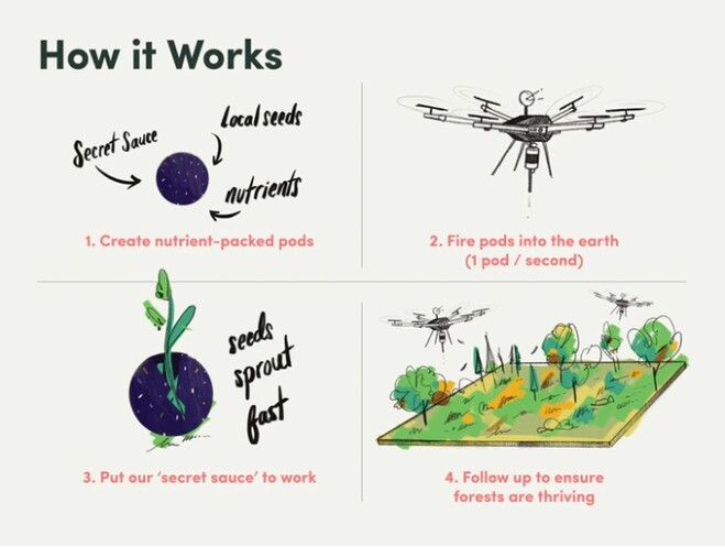 How the Flash Frest system works
