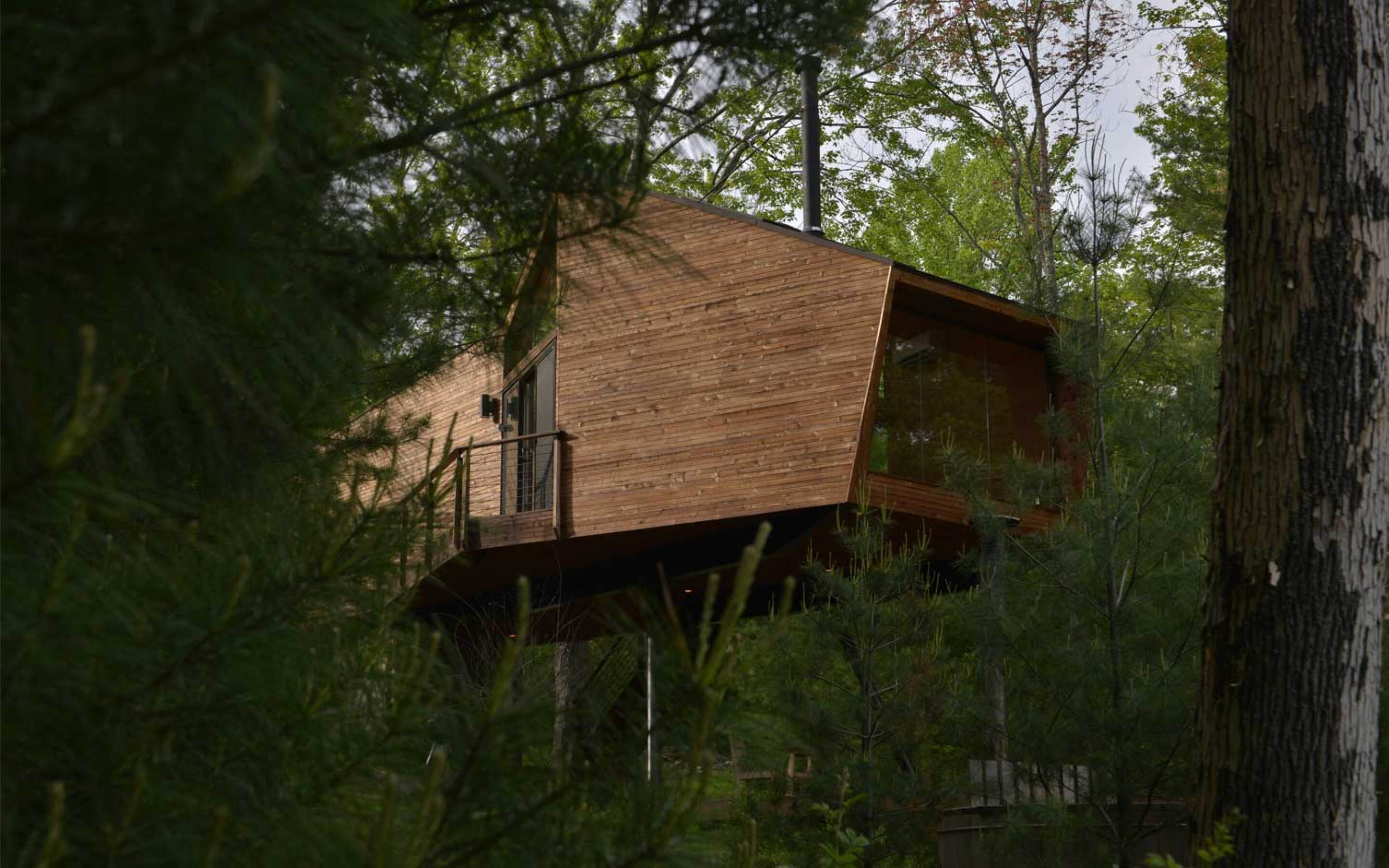 Sustainable home can be built in the trees or on ground