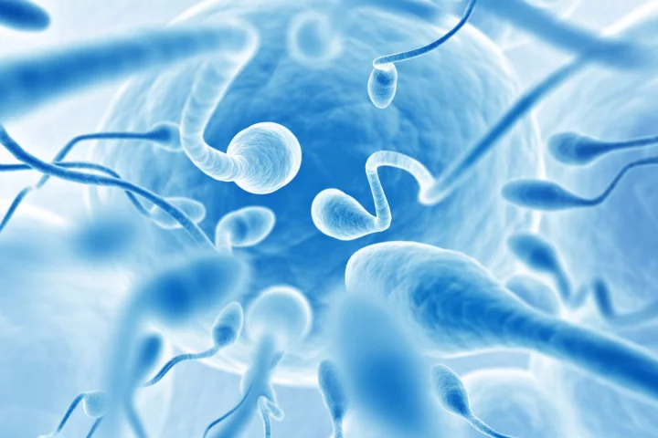 A large-scale meta-analysis of 185 studies across 40 years has found total sperm count among men in the West is in decline