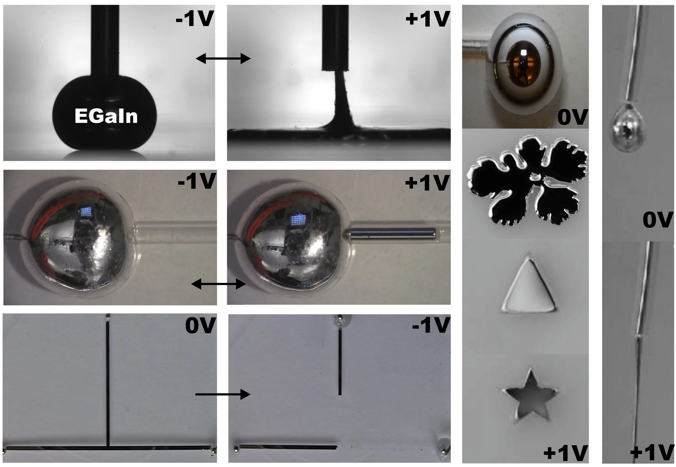 Researchers from North Carolina State University have changed the shape of liquid metals with an electric current (Image: Mohammad Khan/NCSU)