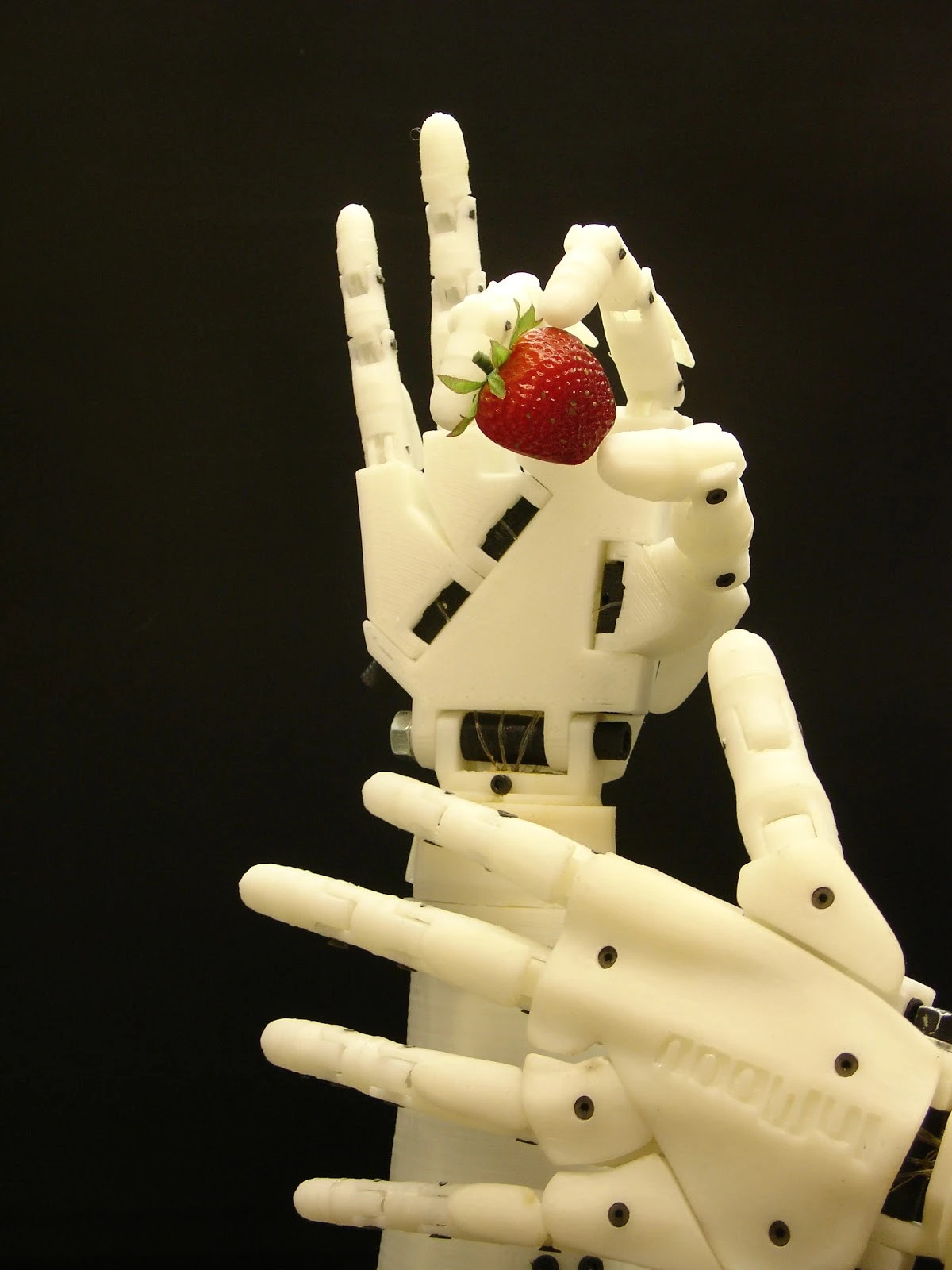 InMoov's hands can hold a variety of objects, such as this strawberry