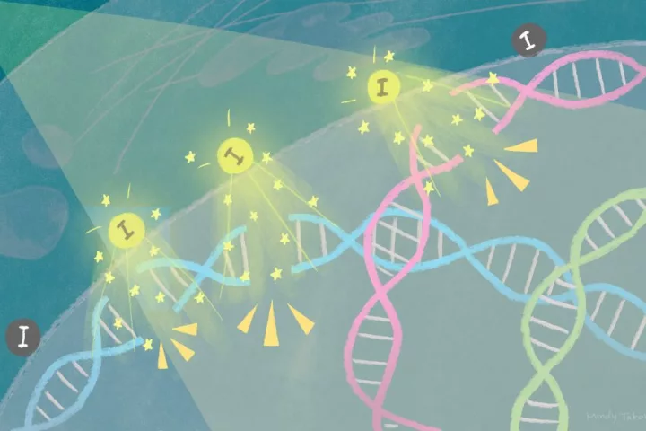 An artist's illustration of iodine in nanoparticles reacting to X-rays to release electrons, which go on to cause double-strand breaks in the DNA of cancer cells to kill them