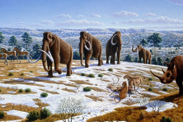An artist's impression of an Ice Age ecosystem – similar to the one that Pleistocene Park is trying to recreate
