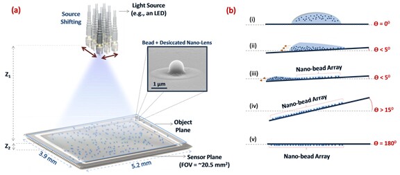 Schematic illustrating the method for viral load detection using holographic microscopy