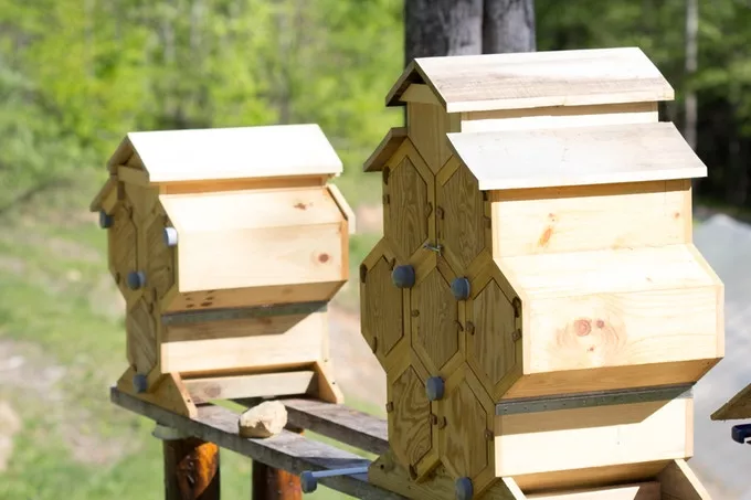 Honeycomb Hives' modular Fold Hives