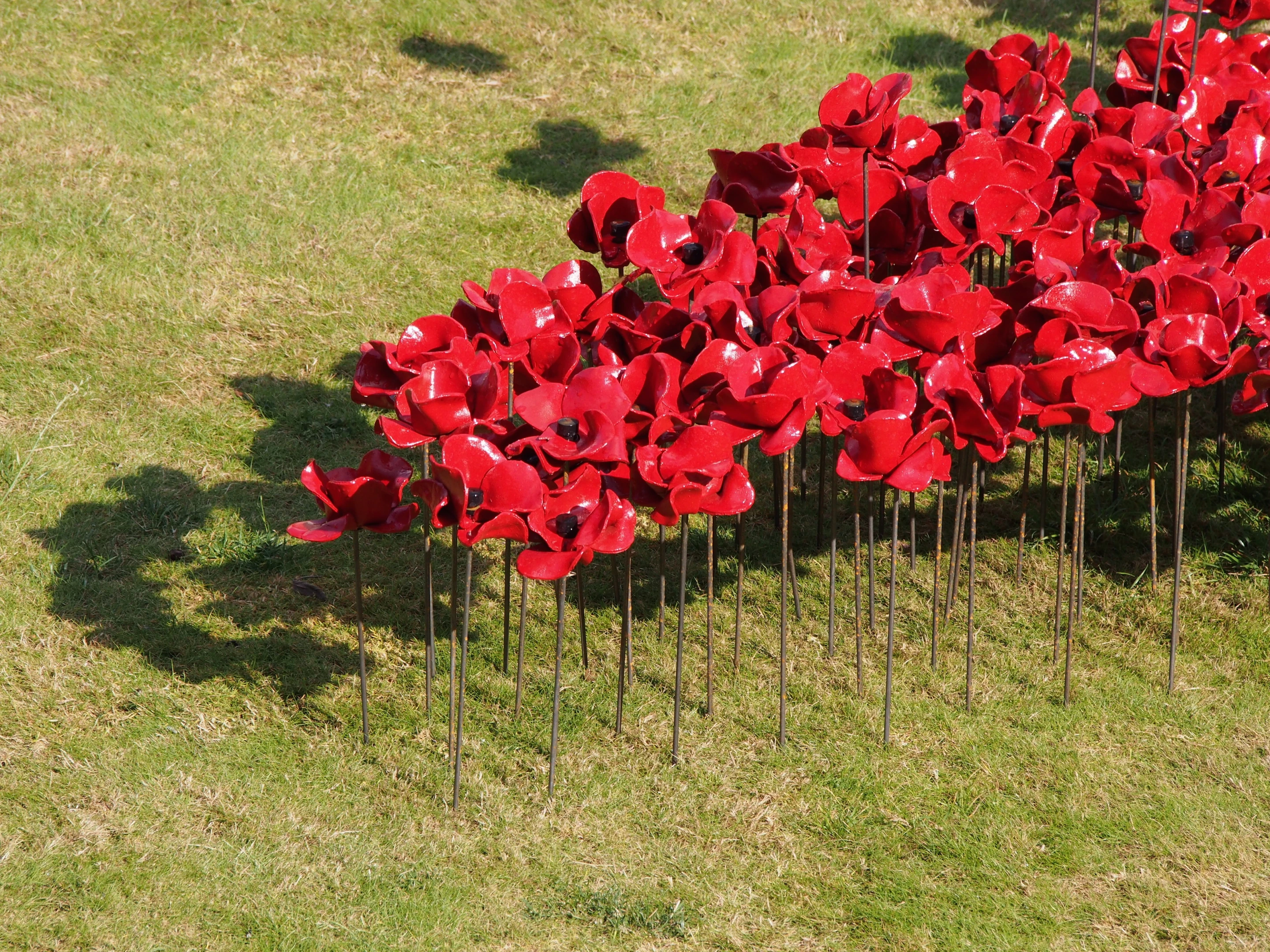 The installation officially opened on August 5, the date marking 100 years since Britain officially entered the First World War (Photo: Adam Williams/Gizmag)