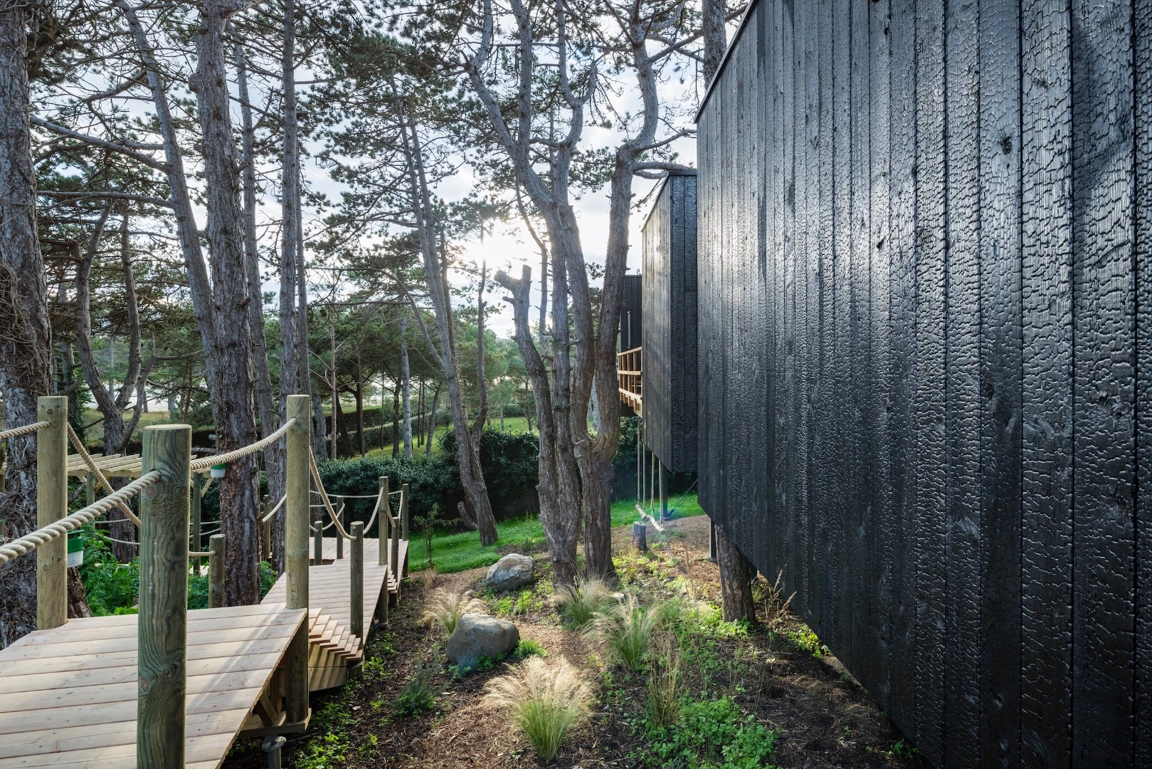 Treehouse is situated on a hill