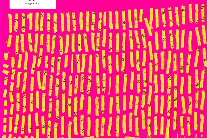 In order to develop methods for reading shredded documents, DARPA is running a contest in which contestants must solve puzzles made from shredded paper