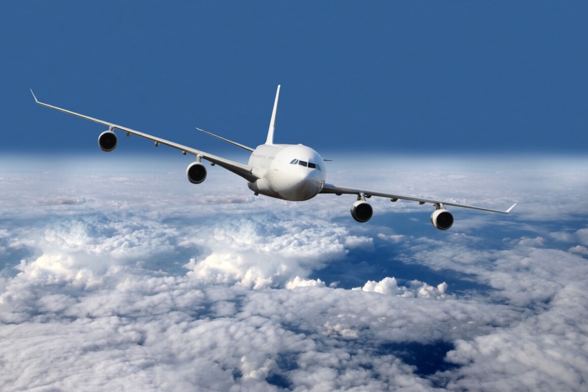 Flying Sheepdogs Herding Birds Away From Planes With - 