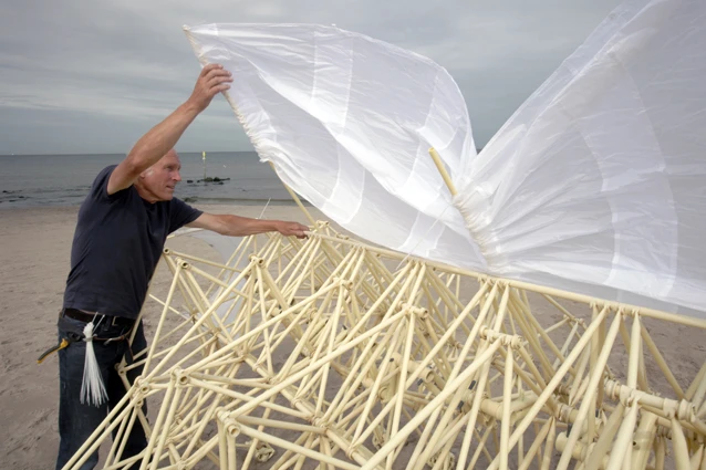 Jansen adjusts the sails of one of his creatures (Photo: Theo Jansen)