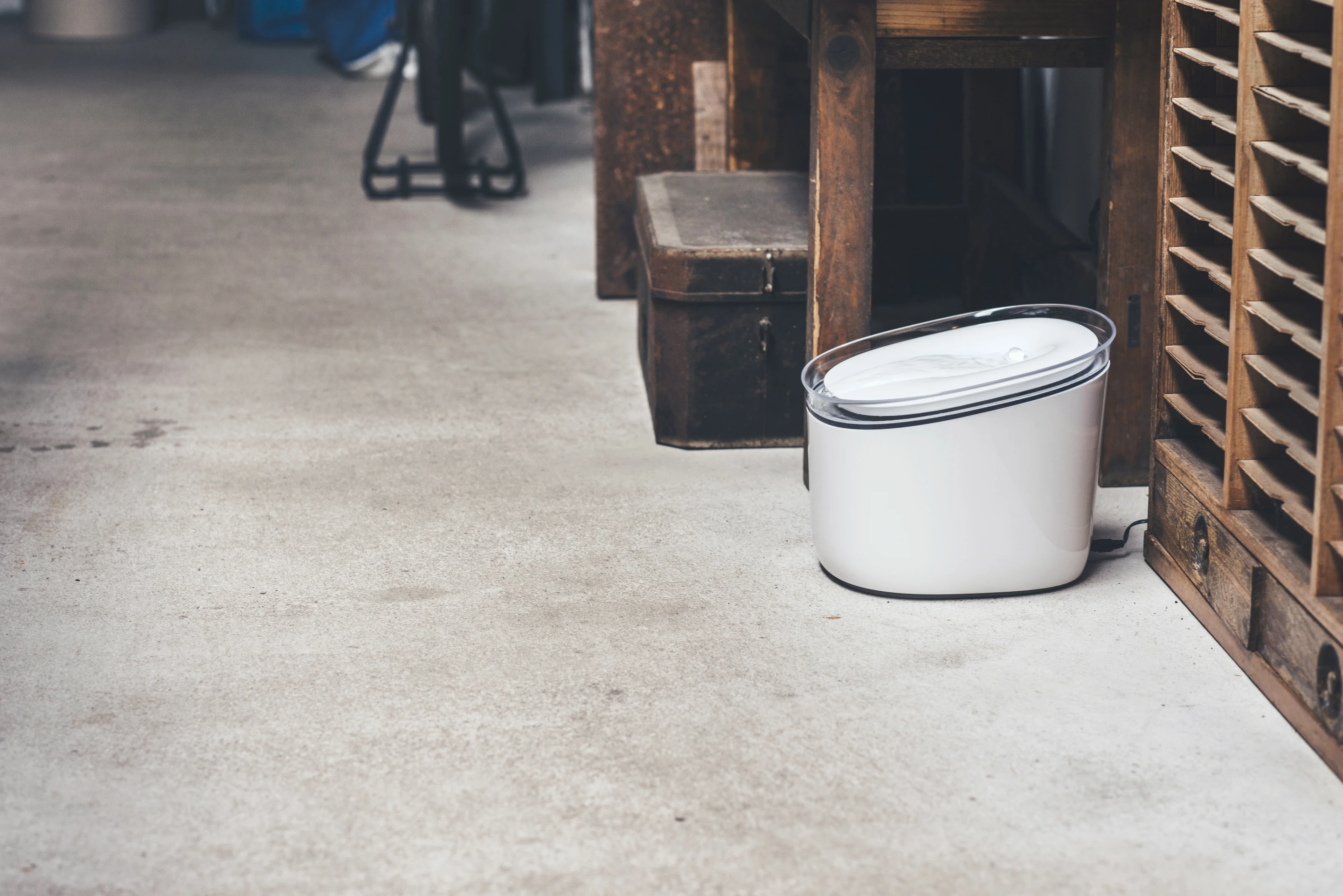 Noacare's Pura smart water fountain for cats