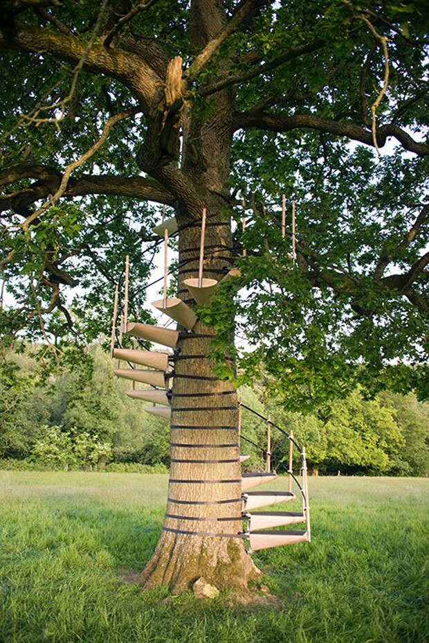 CanopyStair is attached to the trunk of the tree using adjustable ratchet straps
