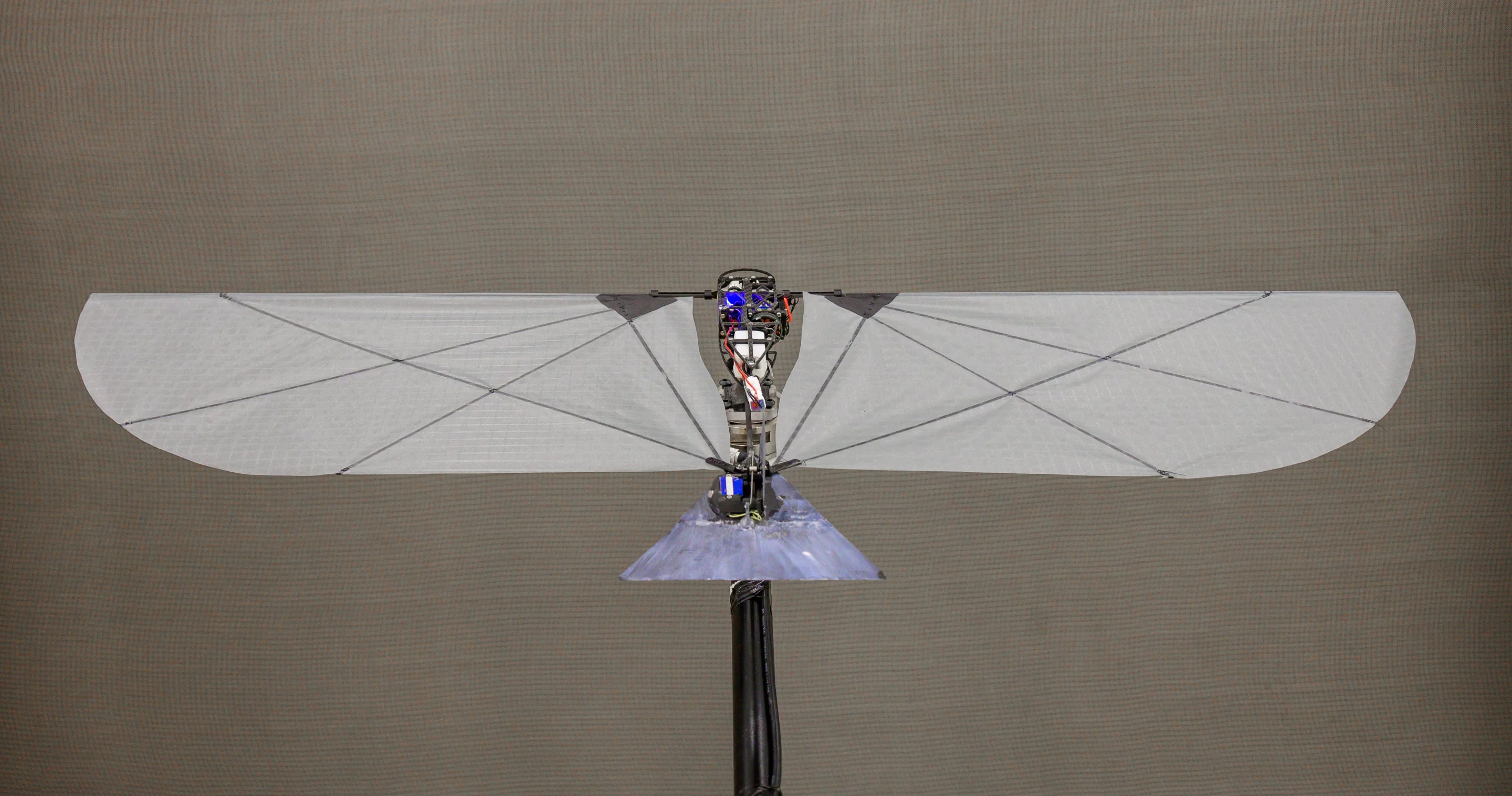 The robot has flexible wings, a short tail, and a neutrally buoyant body