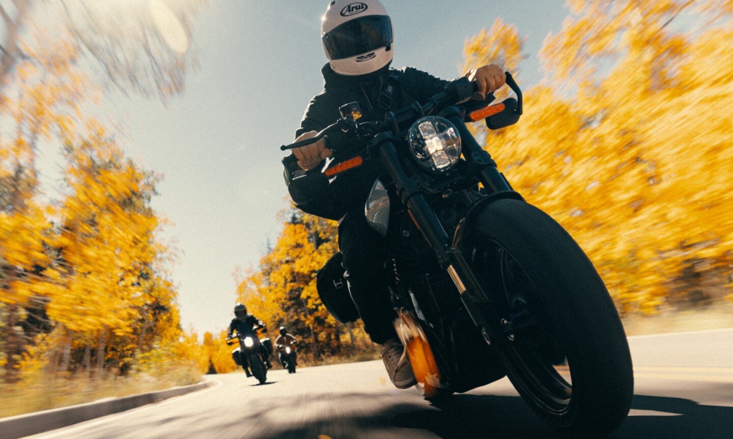The Livewire S2 Alpinista gets four preset ride modes – Sport, Road, Rain, and Range