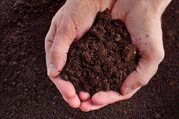 Lasers may find use neutralizing pollutants in soil