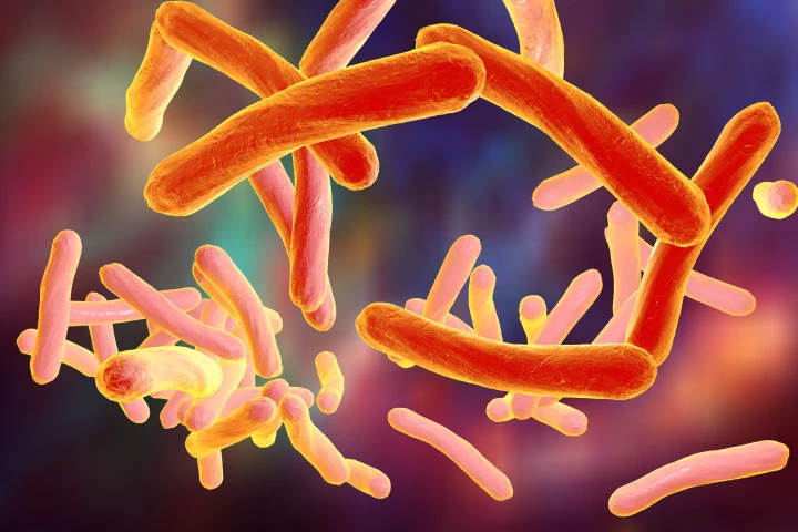 Scientists studying mycobacterium tuberculosis bacteria have detected the first evidence of what they call "pre-resistance" to drugs