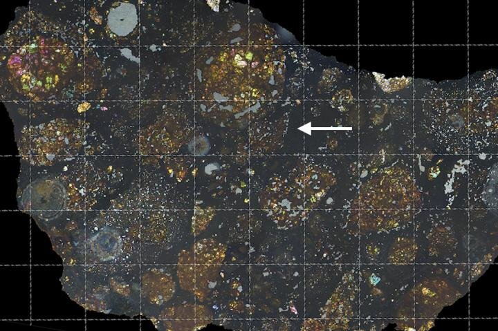 A slice of the Lapaz 02342 meteorite, with the arrow pointing out the small section of carbon-rich material that the scientists believe is the seed of a comet