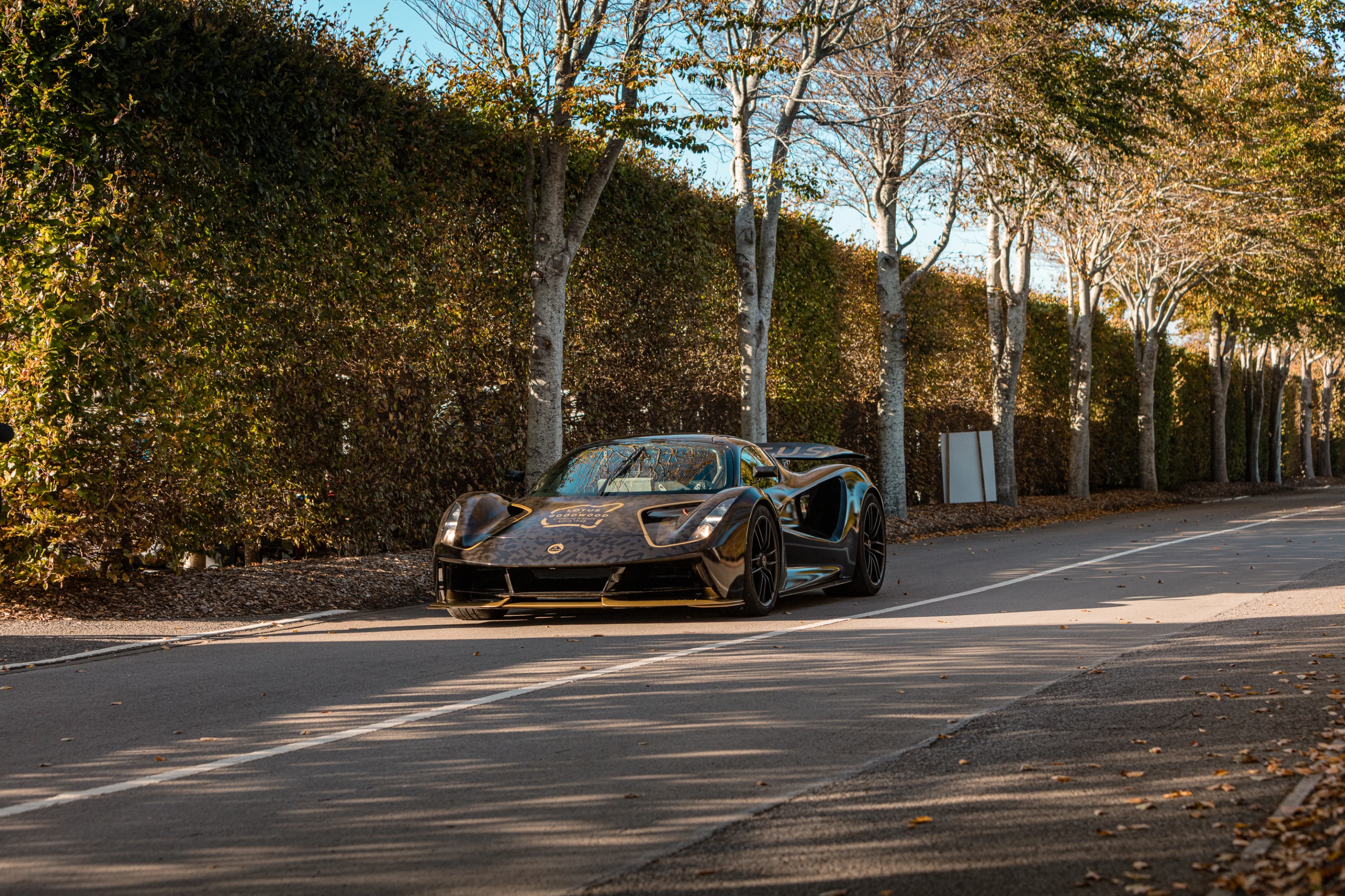 Livery on the Lotus Evija at Goodwood includes classic Lotus black and gold