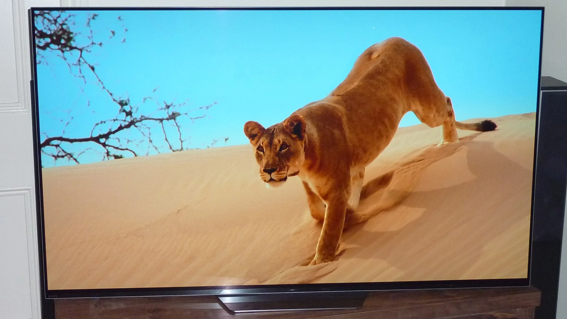 OLED TVs aren't capable of the same levels of brightness as most LCDs, but the A8F's brightness levels are far from unwatchable