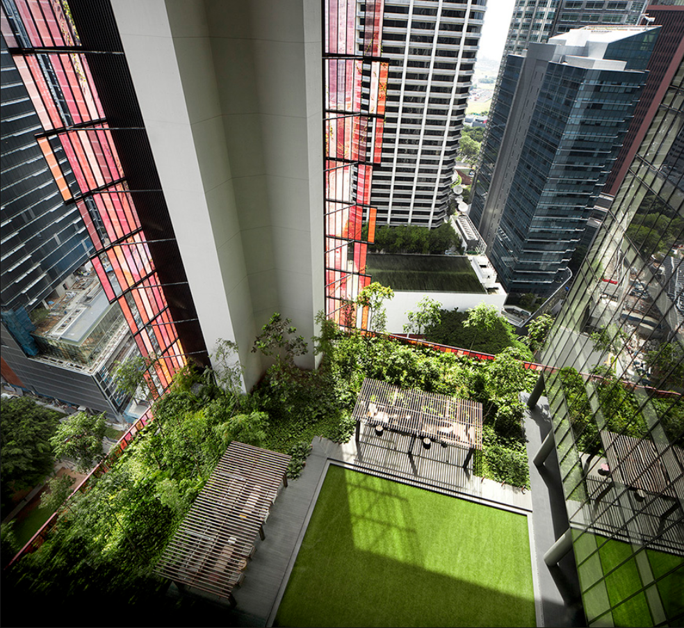 The Oasia Hotel Downtown in Singapore features 54 different climbing plants sprawled across its aluminium mesh screen facade