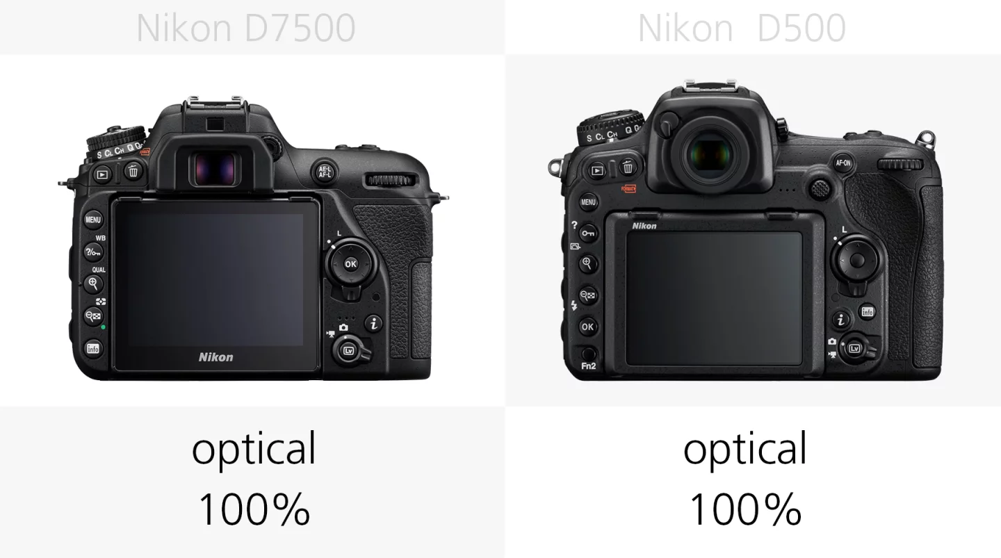 The viewfinders of the Nikon D7500 and Nikon D500 compared