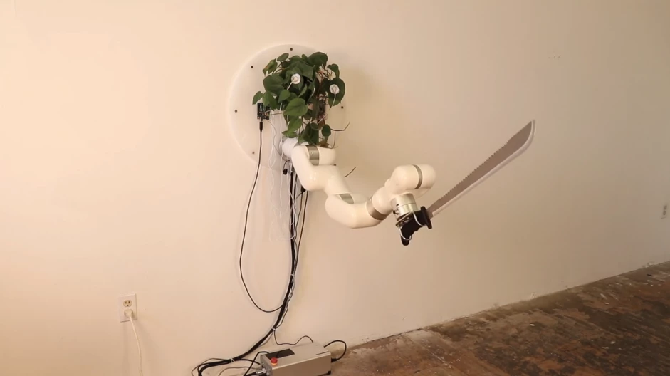 Electrical signals gathered from the plant's leaves are linked to a robotic arm carrying