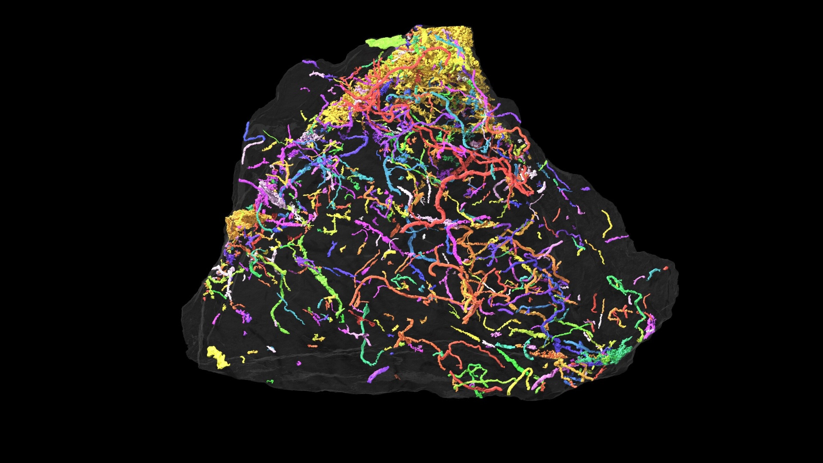 Halfbillionyearold fossils were left by the earliest complex lifeforms