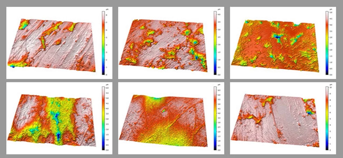 3D models of the microscopic wear patterns of lion teeth – two on the top left are from wild-caught lions, top right is from a captive lion, the two bottom left are from the Tsavo man-eaters