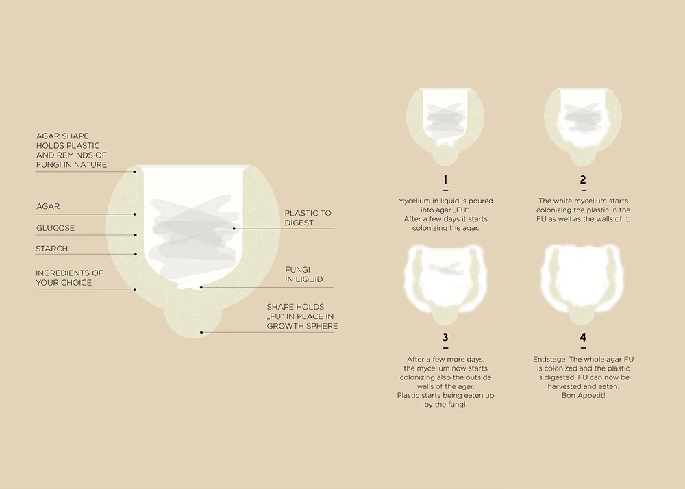Breakdown of the process and components involved in mutating plastic into food