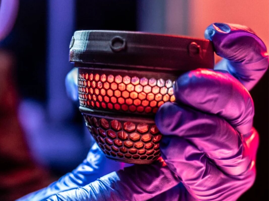 US company claims it made an artificial egg in a plan to 'de-extinct' birds