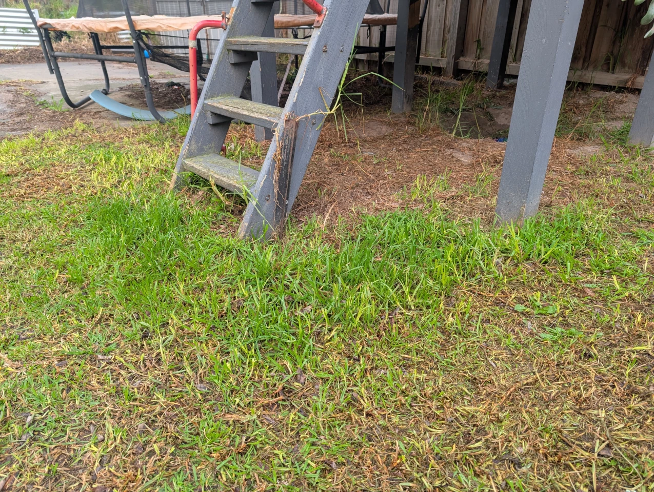 It hasn't identified this bit as grass yet, it seems