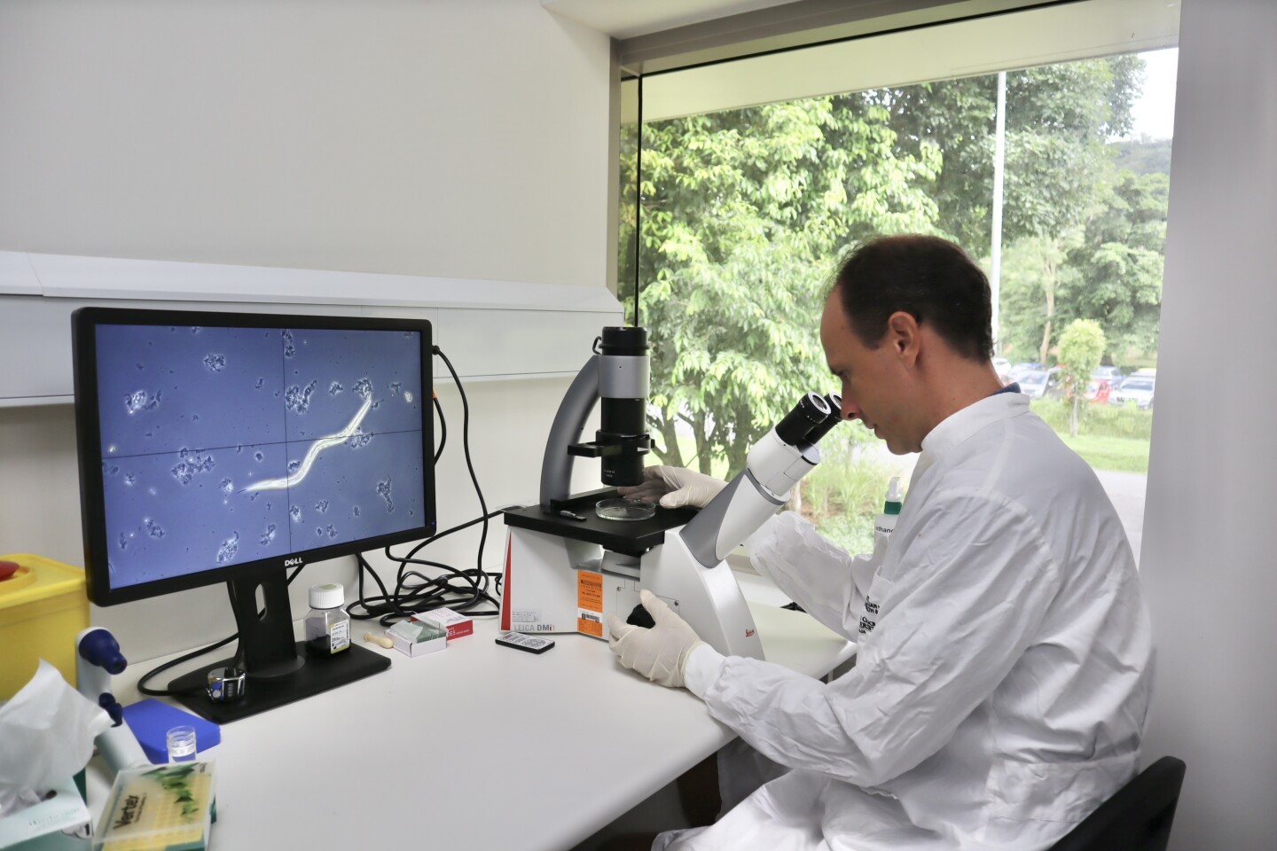 Dr. Paul Giacomin has spent years working on harnessing the hookworm for human health benefits