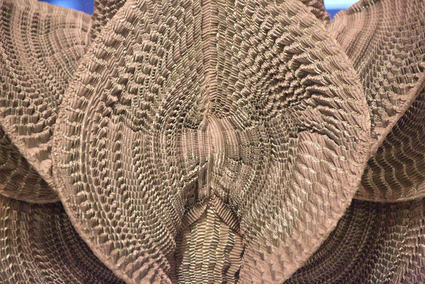 Iris van Herpen utilizes 3D printing to create novel textiles for her avant-garde fashion