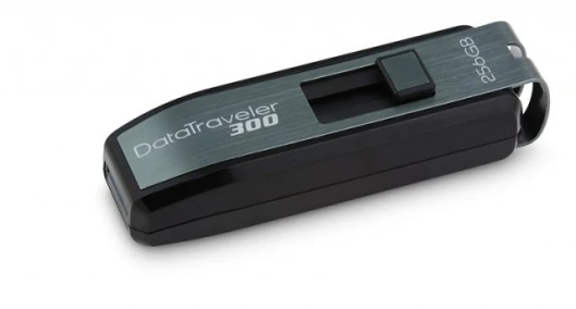 Kingston DT300 256GB Flash drive