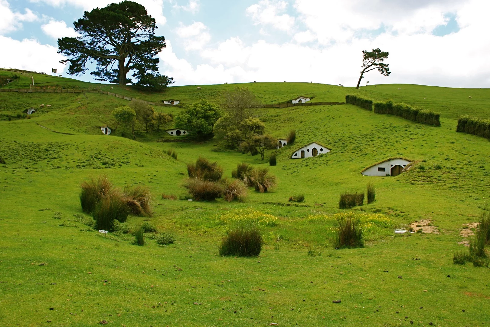 Hobbiton in New Zealand is the location of the Hobbit houses built for the Lord of the Rings movies. They aren’t exactly functional houses, with most just acting as facades but they certainly inspired a new generation of underground designers. Today they have been repurposed into sheep abodes (Credit: tara hunt / Flickr CC BY-SA 2.0)
