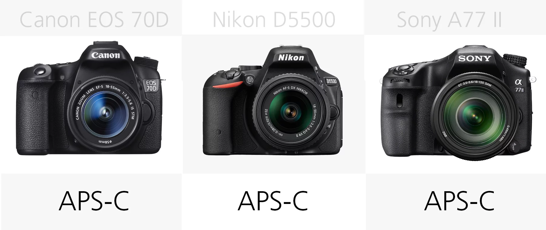Sensor size comparison (Canon EOS 70D, Nikon D5500, Sony A77 II)