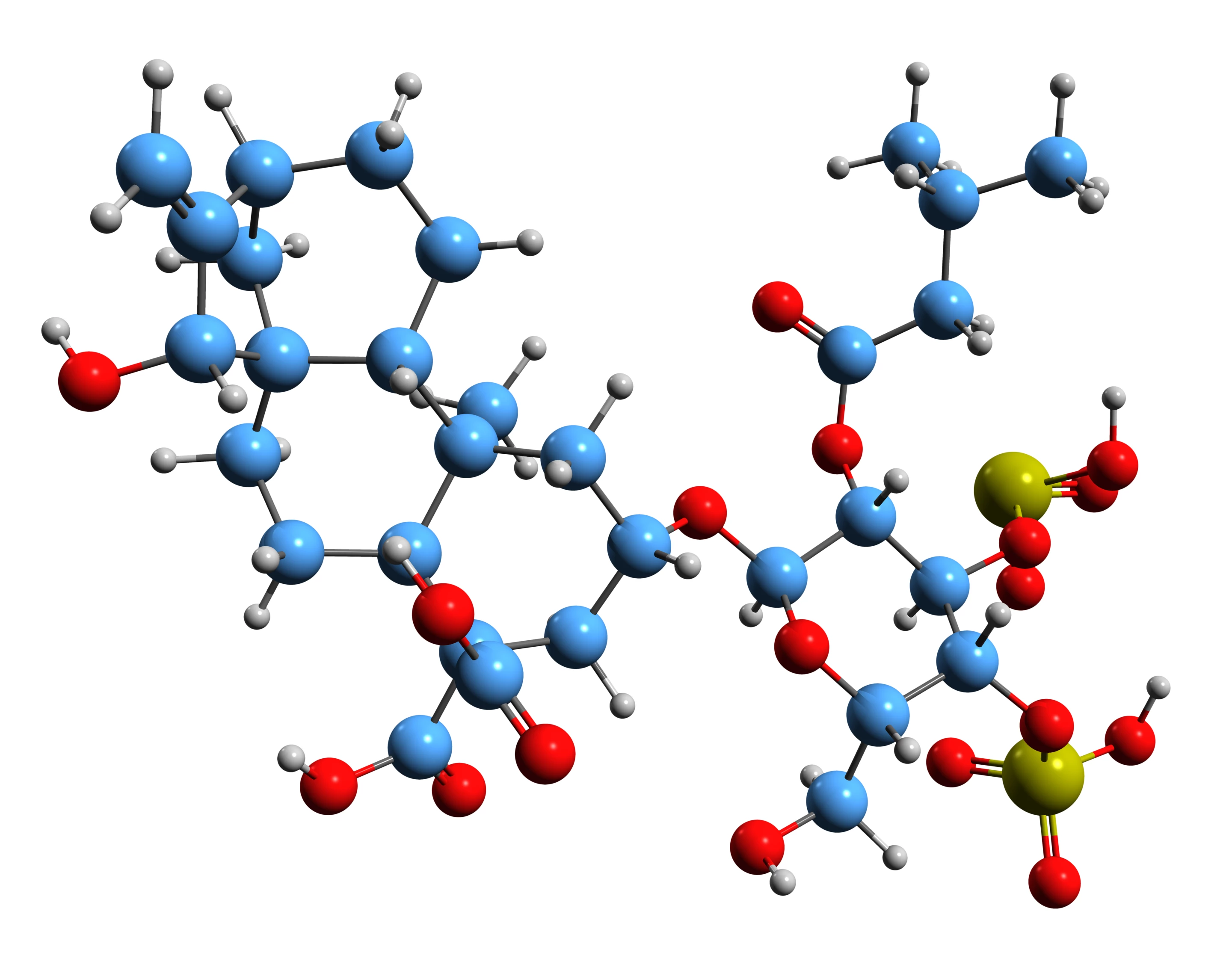 The complex structure of carboxyatractyloside