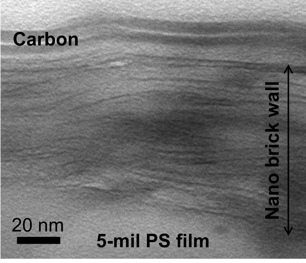 A new coating that reportedly allows foods to last longer has a structure similar to a brick wall(Image: Texas A&M University)